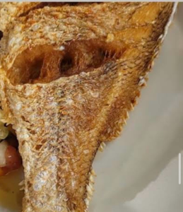 tilapia fish