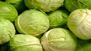 Cabbage - Medium