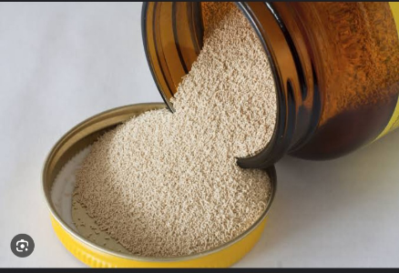 yeast 500g