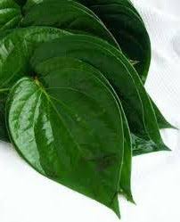 Okazi leaf