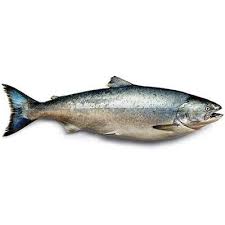Salmon (kg)