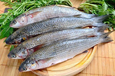 mullet