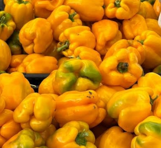 yellow pepper (Rodo)