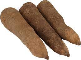 yam (Big Tuber)