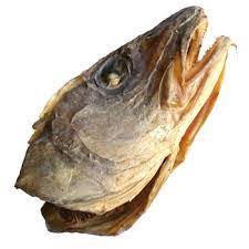 Stockfish head