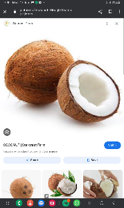 Coconut big