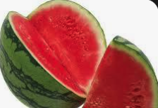 Watermelon(small)