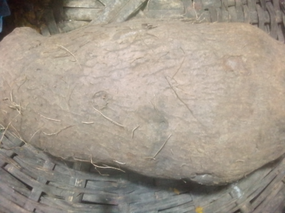 water yam