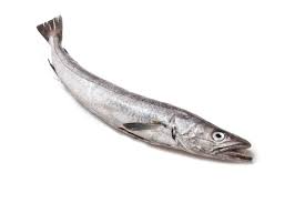 Hake medium size