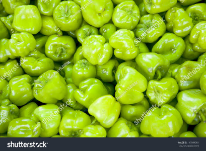 green Rodo