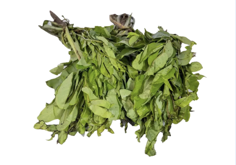 Oha leaf